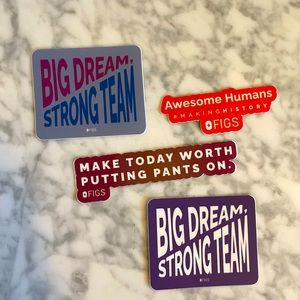 Bundle of FIGS stickers